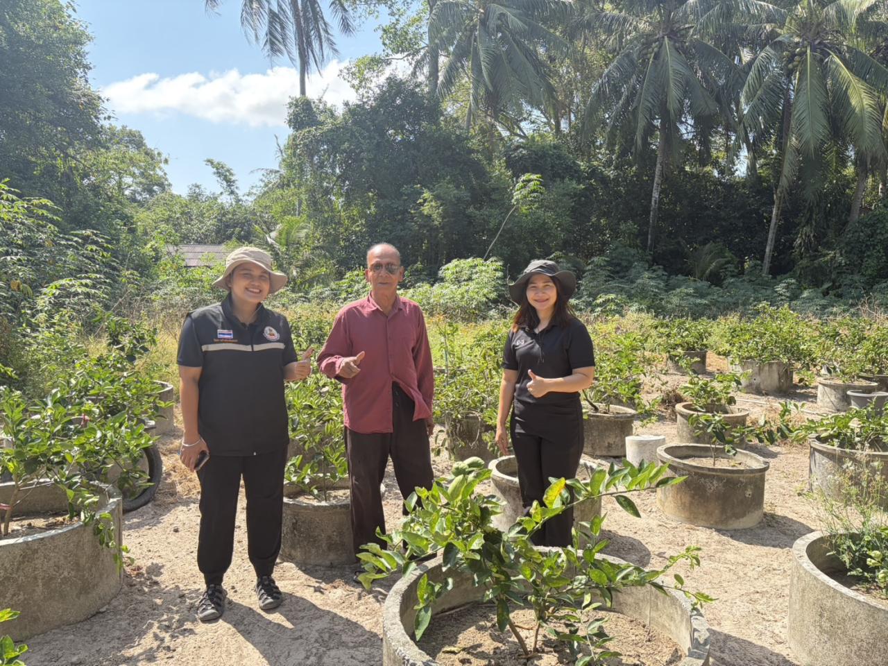 ภาพประกอบที่ 5