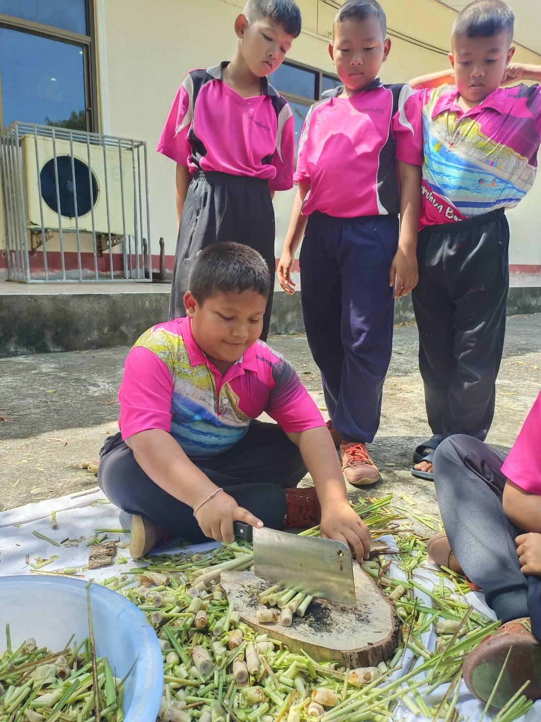 ภาพประกอบที่ 0