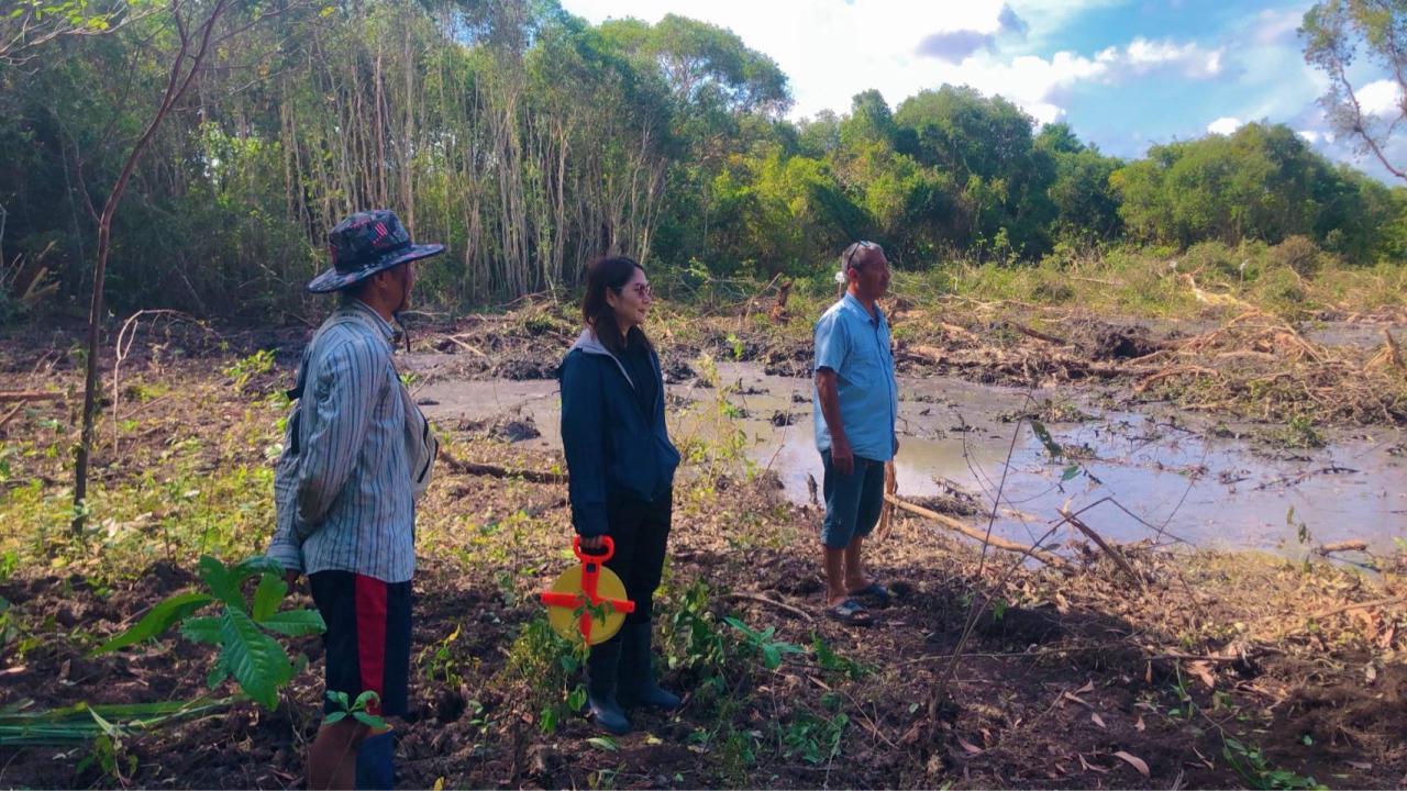 ภาพประกอบที่ 0