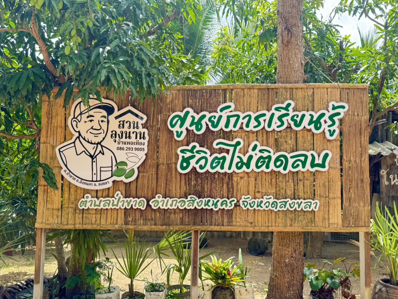 ภาพประกอบที่ 5