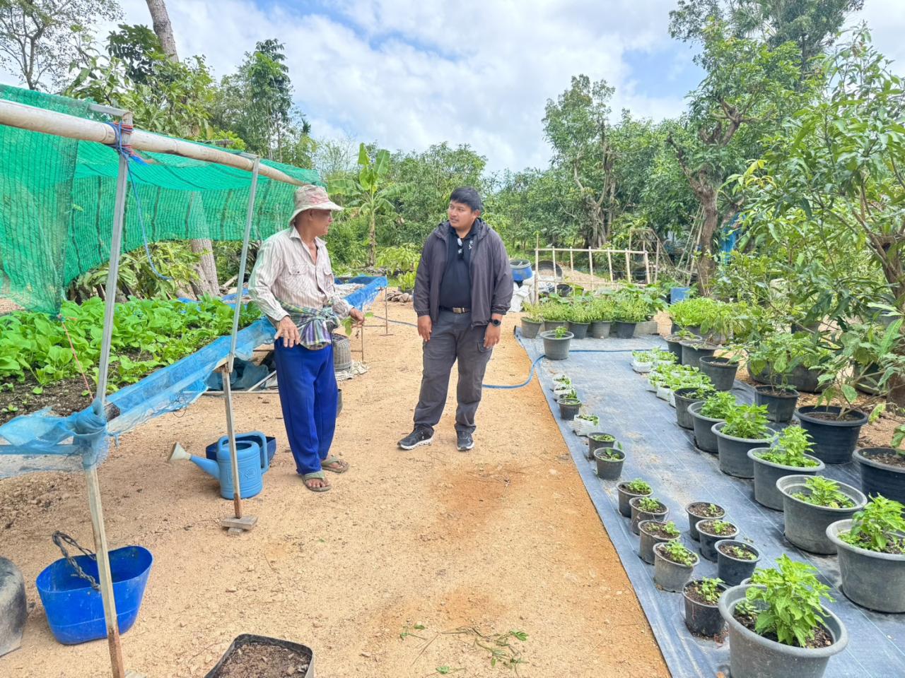 ภาพประกอบที่ 7