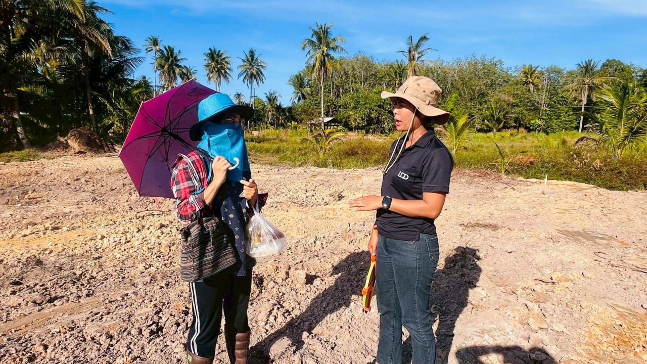 ภาพประกอบที่ 1