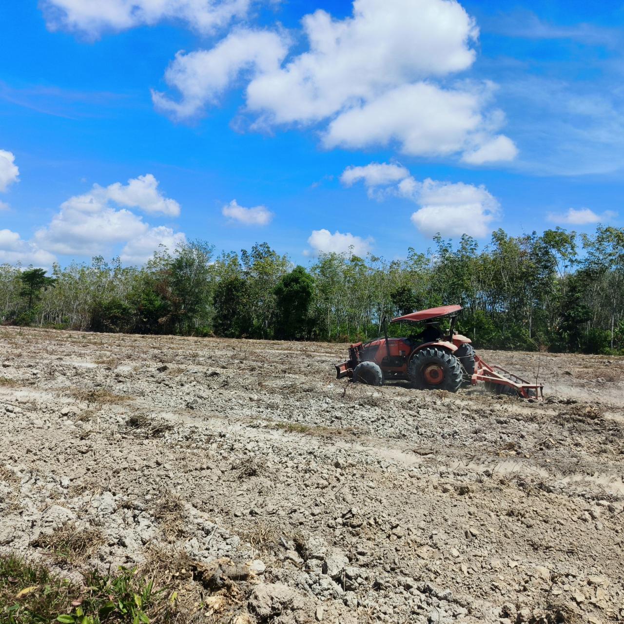ภาพประกอบที่ 7