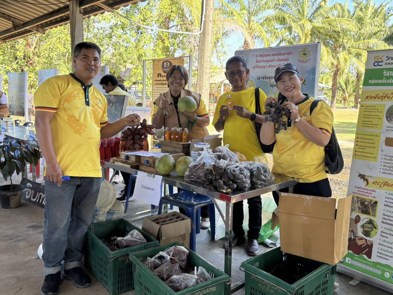 ภาพประกอบที่ 6