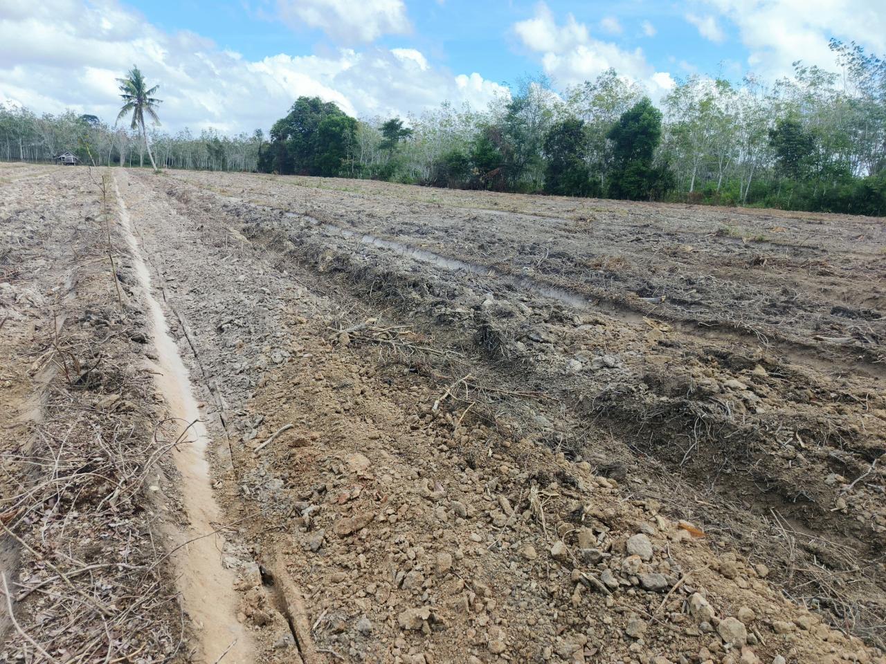 ภาพประกอบที่ 7