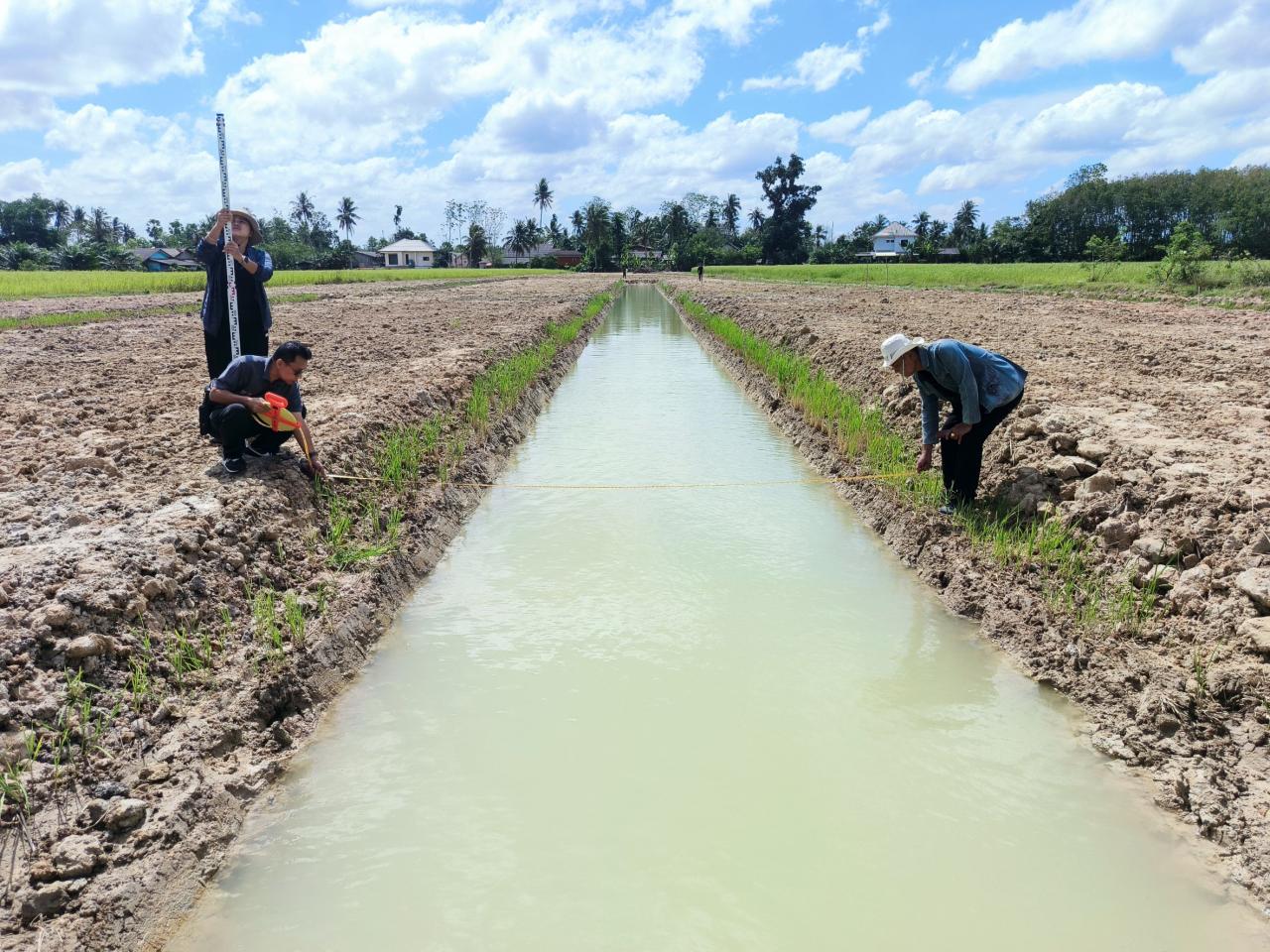 ภาพประกอบที่ 1