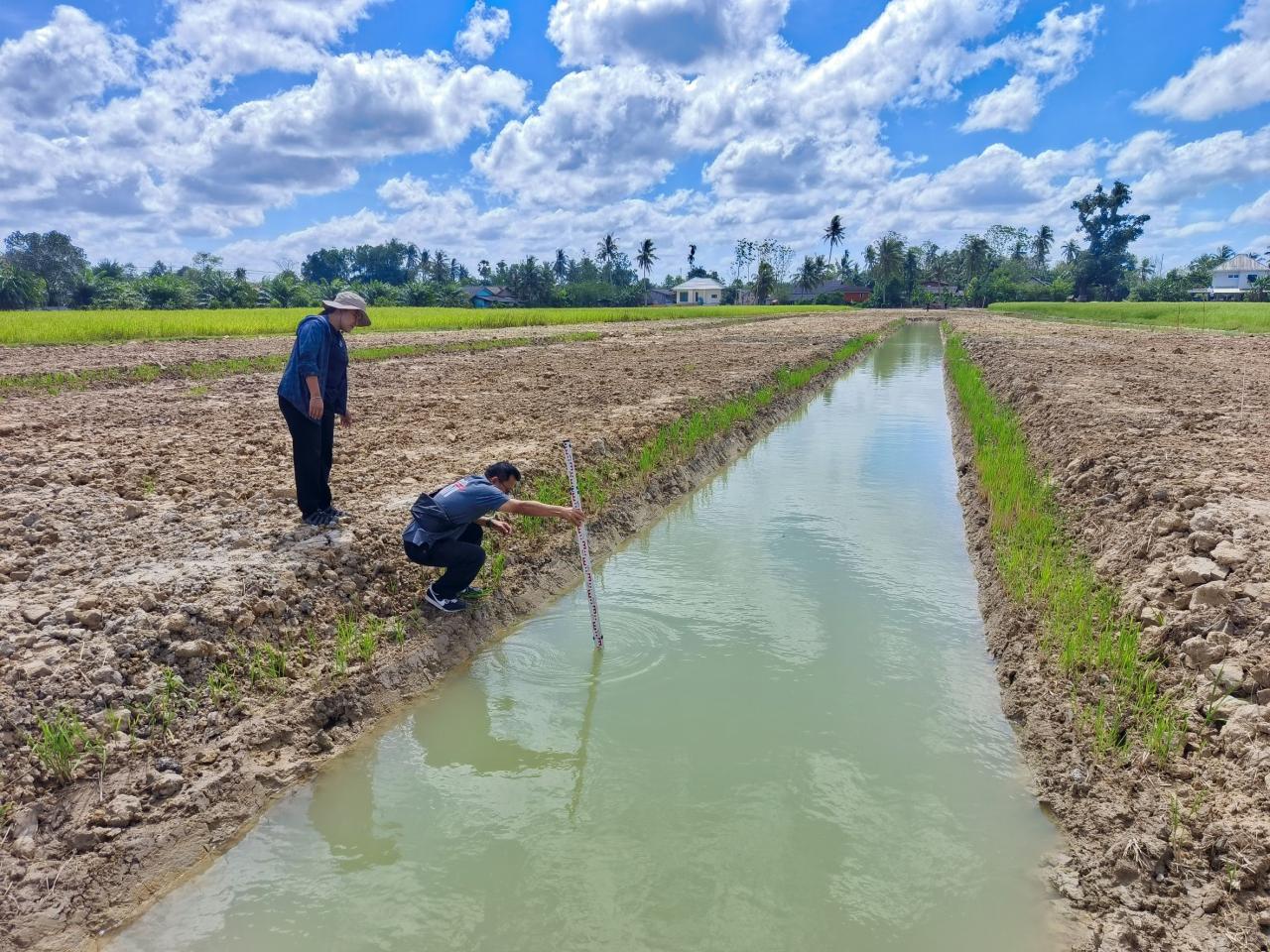 ภาพประกอบที่ 2