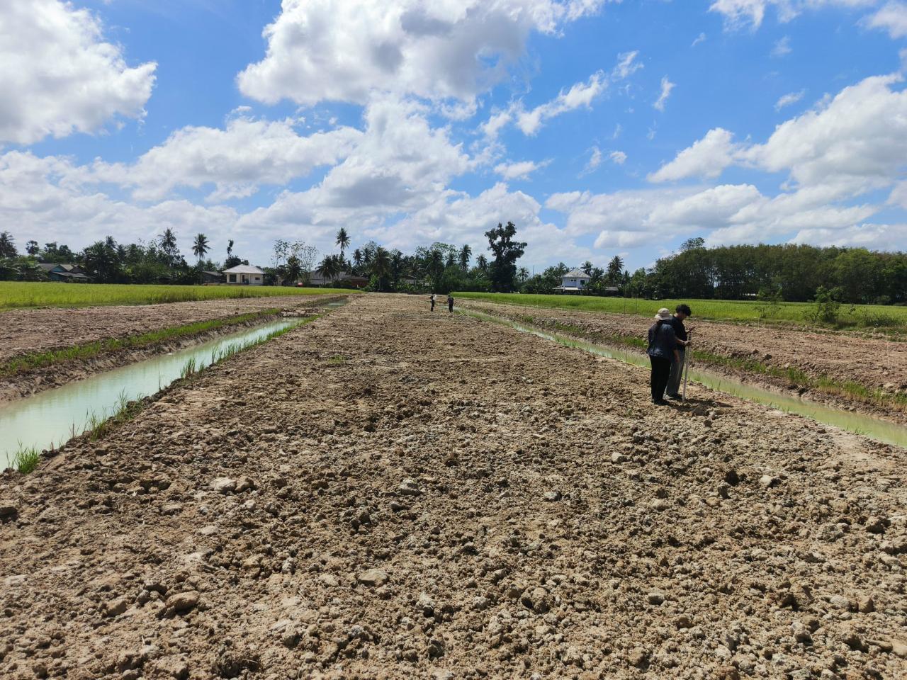 ภาพประกอบที่ 3