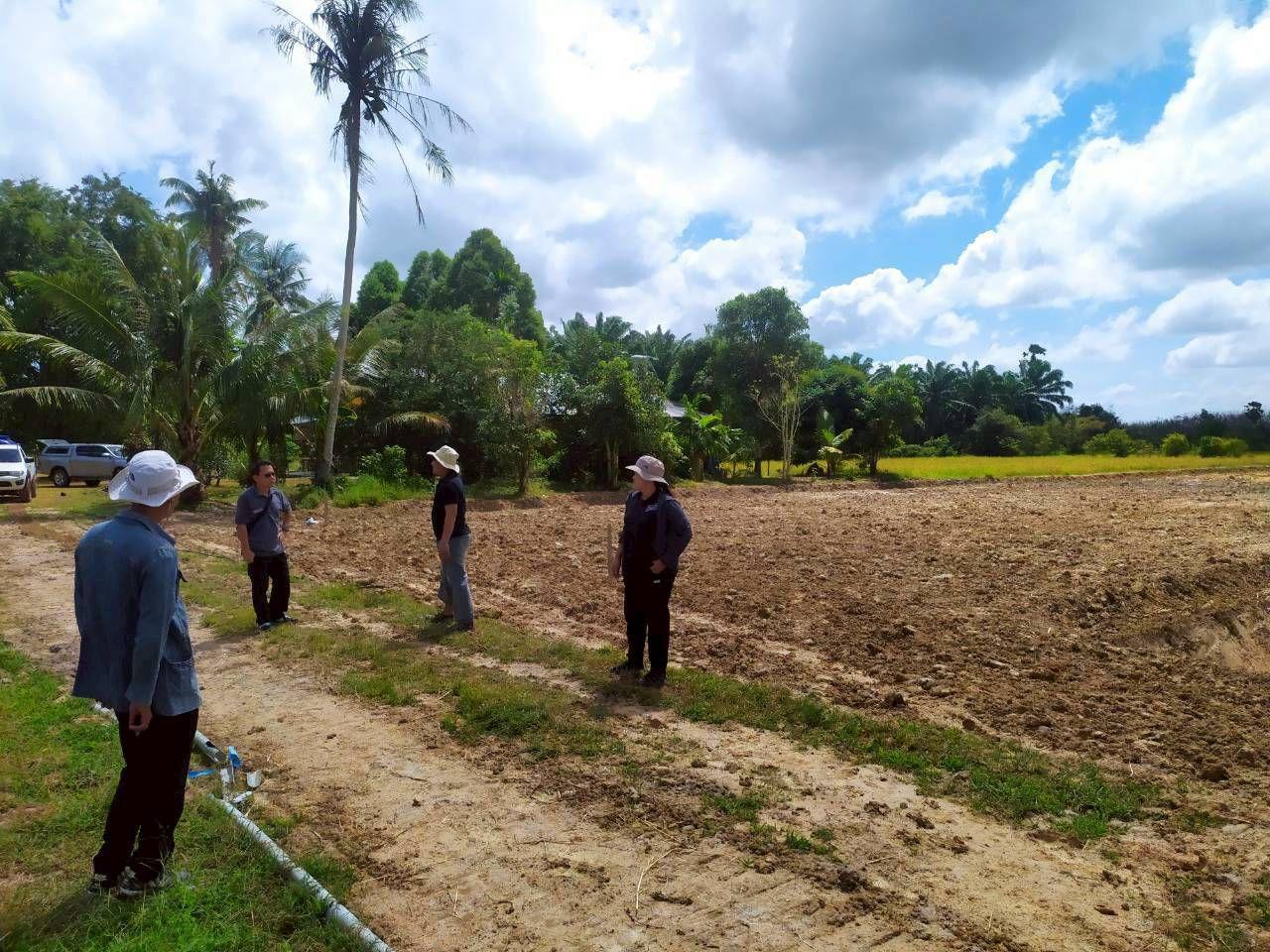 ภาพประกอบที่ 7