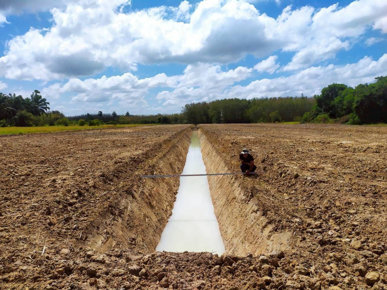 ภาพประกอบที่ 8