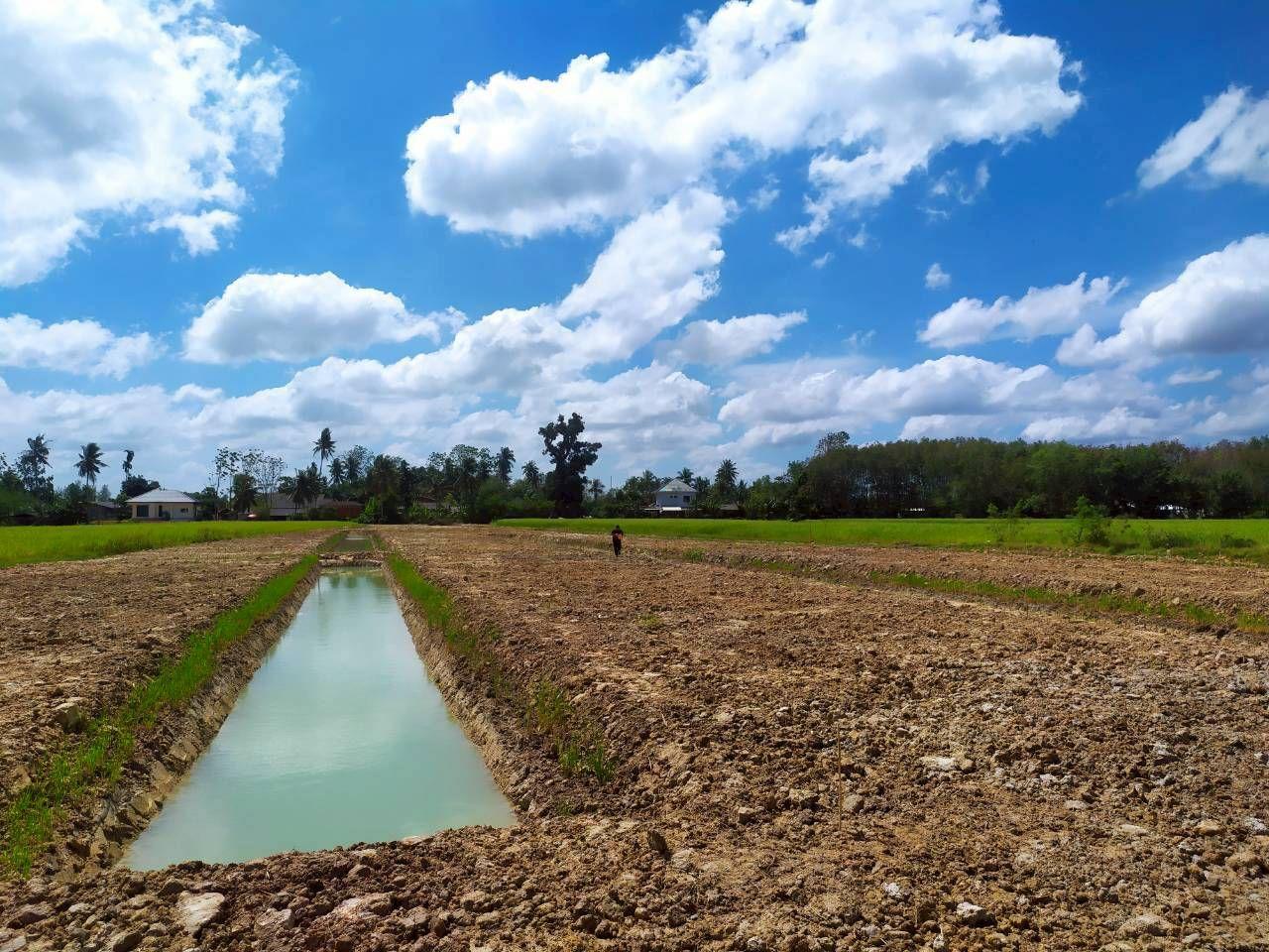 ภาพประกอบที่ 10