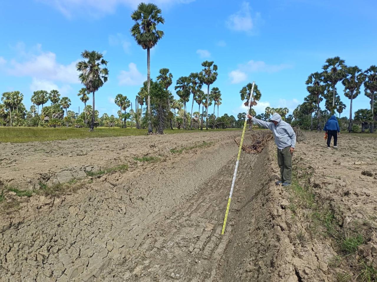 ภาพประกอบที่ 11