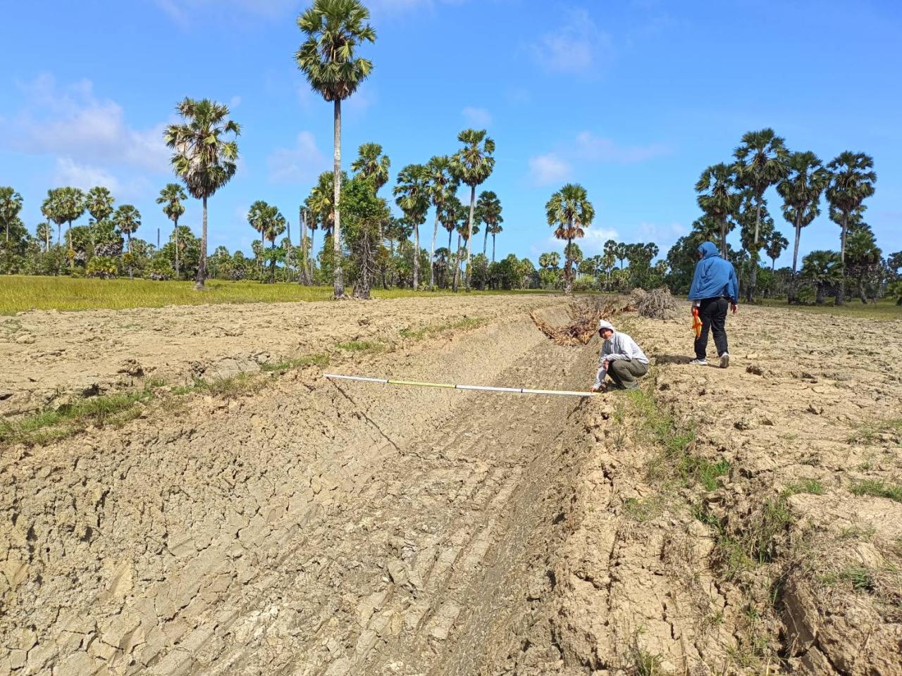 ภาพประกอบที่ 12