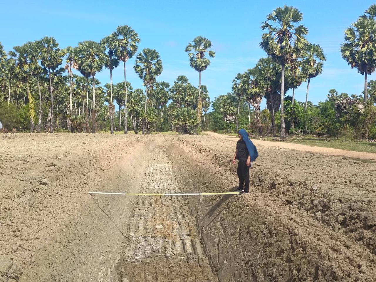 ภาพประกอบที่ 14