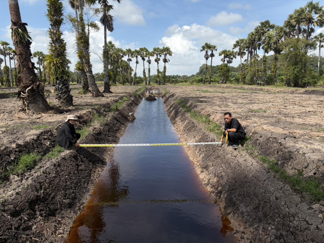 ภาพประกอบที่ 5