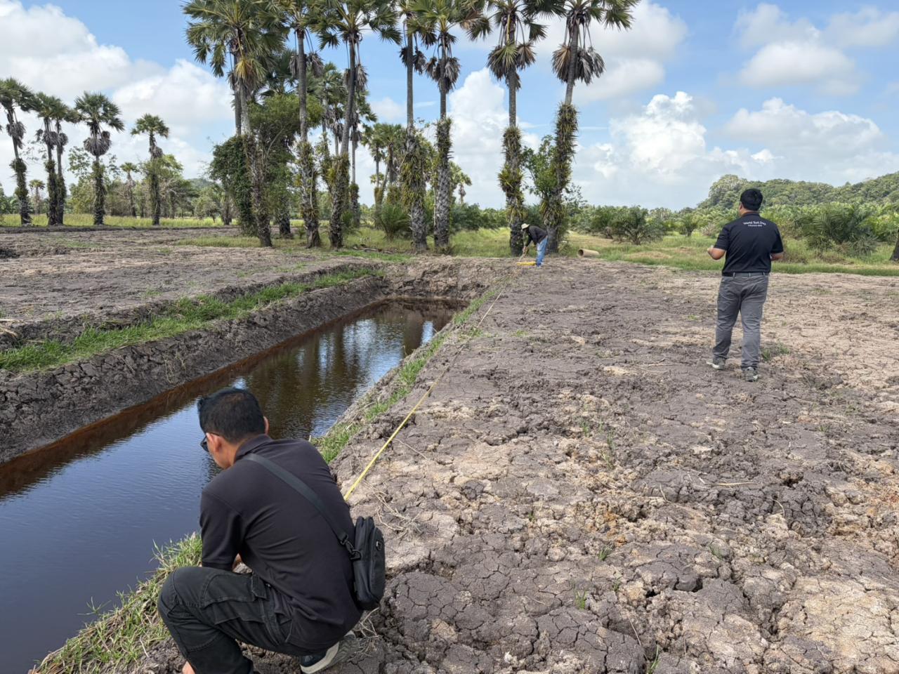 ภาพประกอบที่ 7