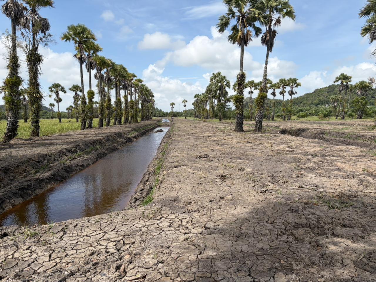 ภาพประกอบที่ 8