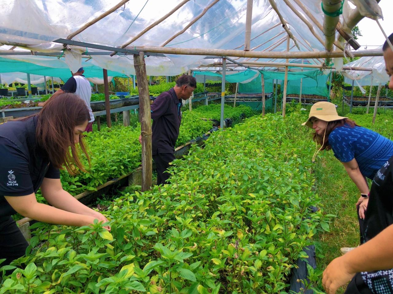 ภาพประกอบที่ 7