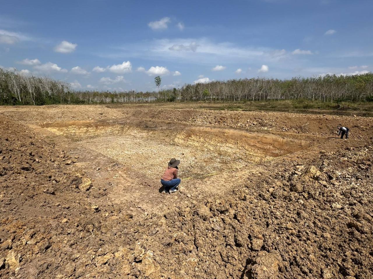 ภาพประกอบที่ 1