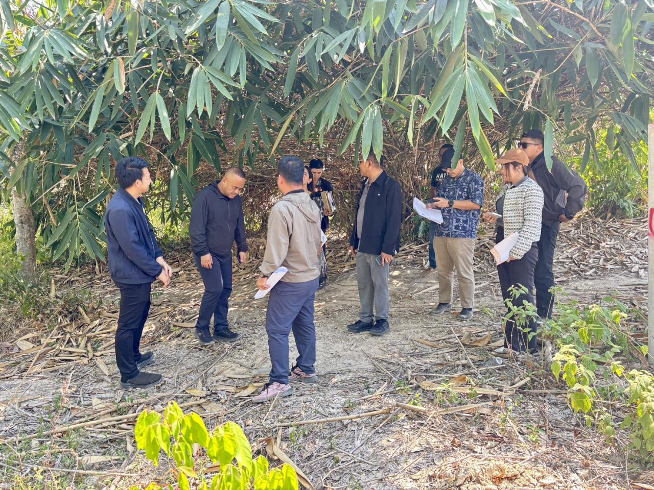 ภาพประกอบที่ 2