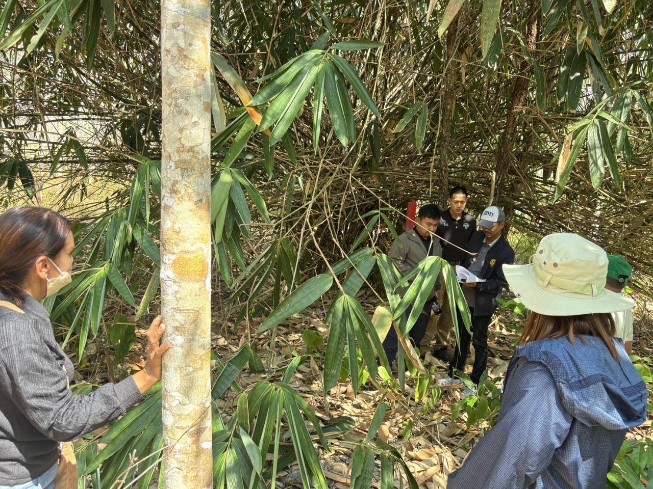 ภาพประกอบที่ 5