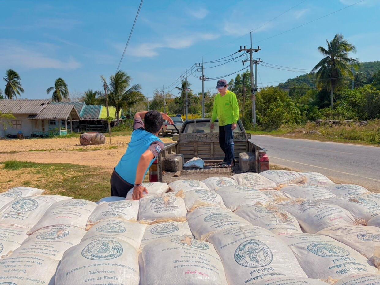 ภาพประกอบที่ 8