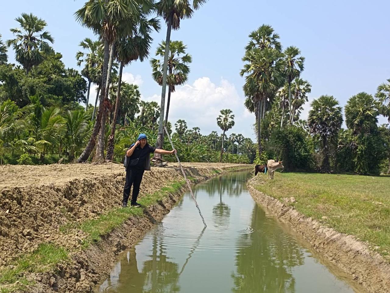 ภาพประกอบที่ 2