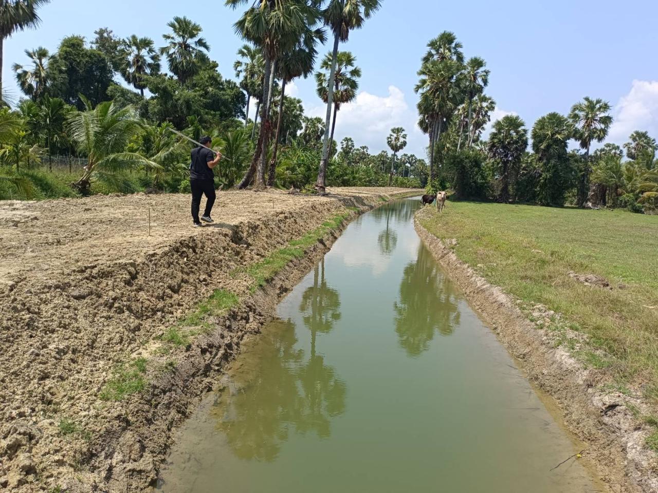 ภาพประกอบที่ 5