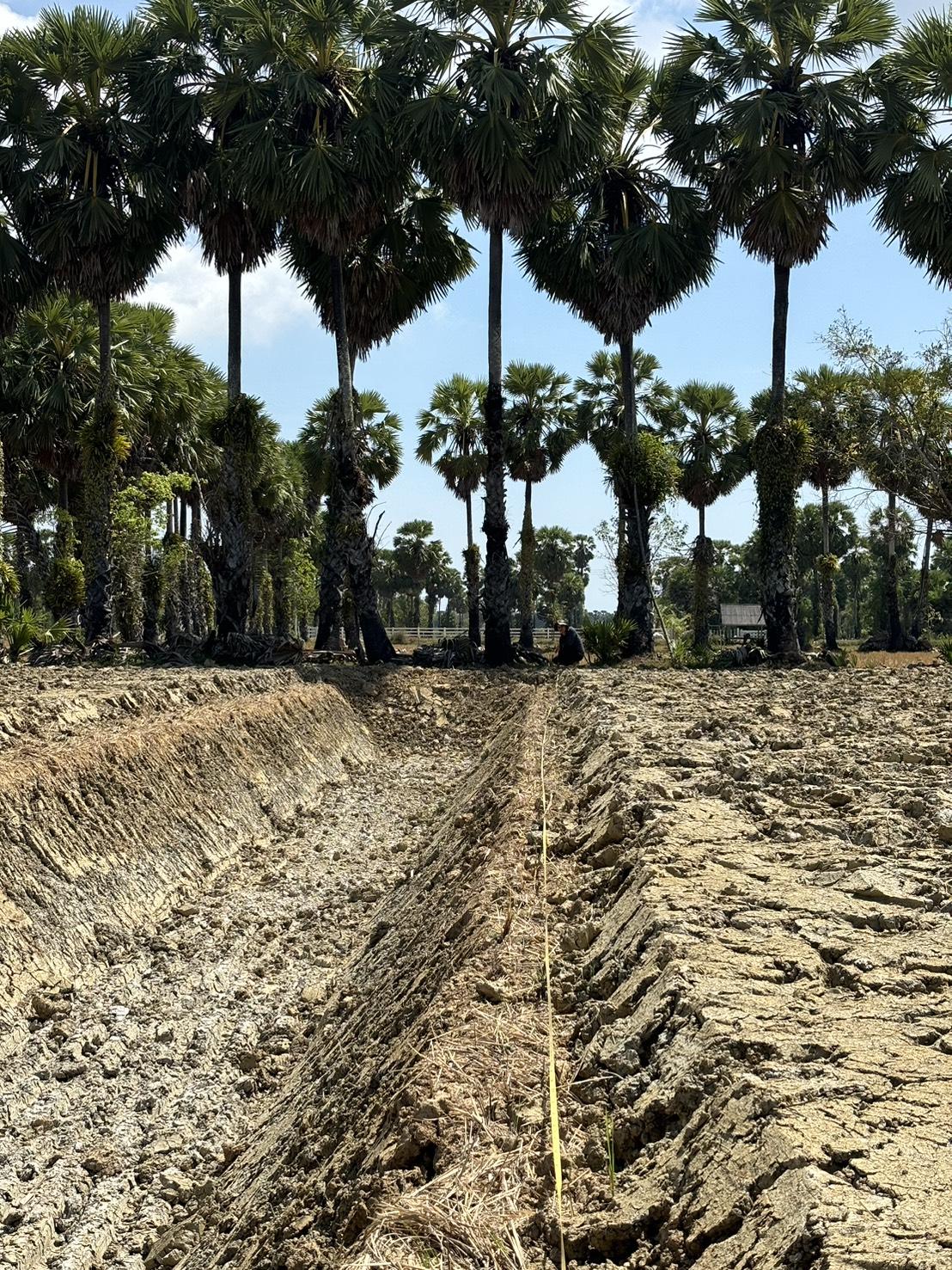 ภาพประกอบที่ 5