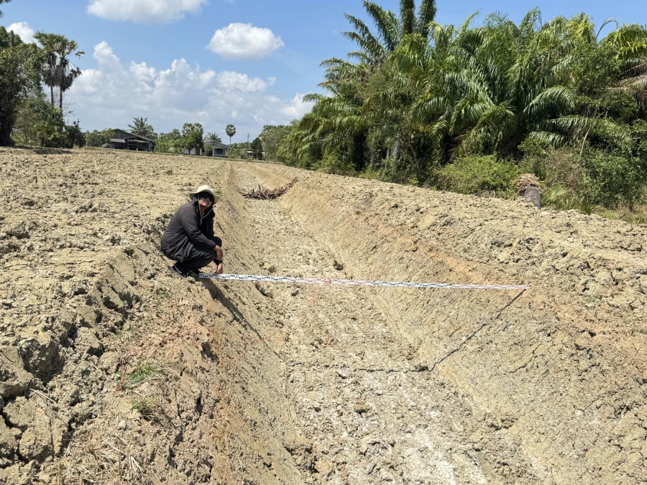 ภาพประกอบที่ 8