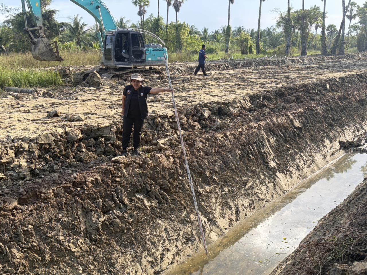 ภาพประกอบที่ 1