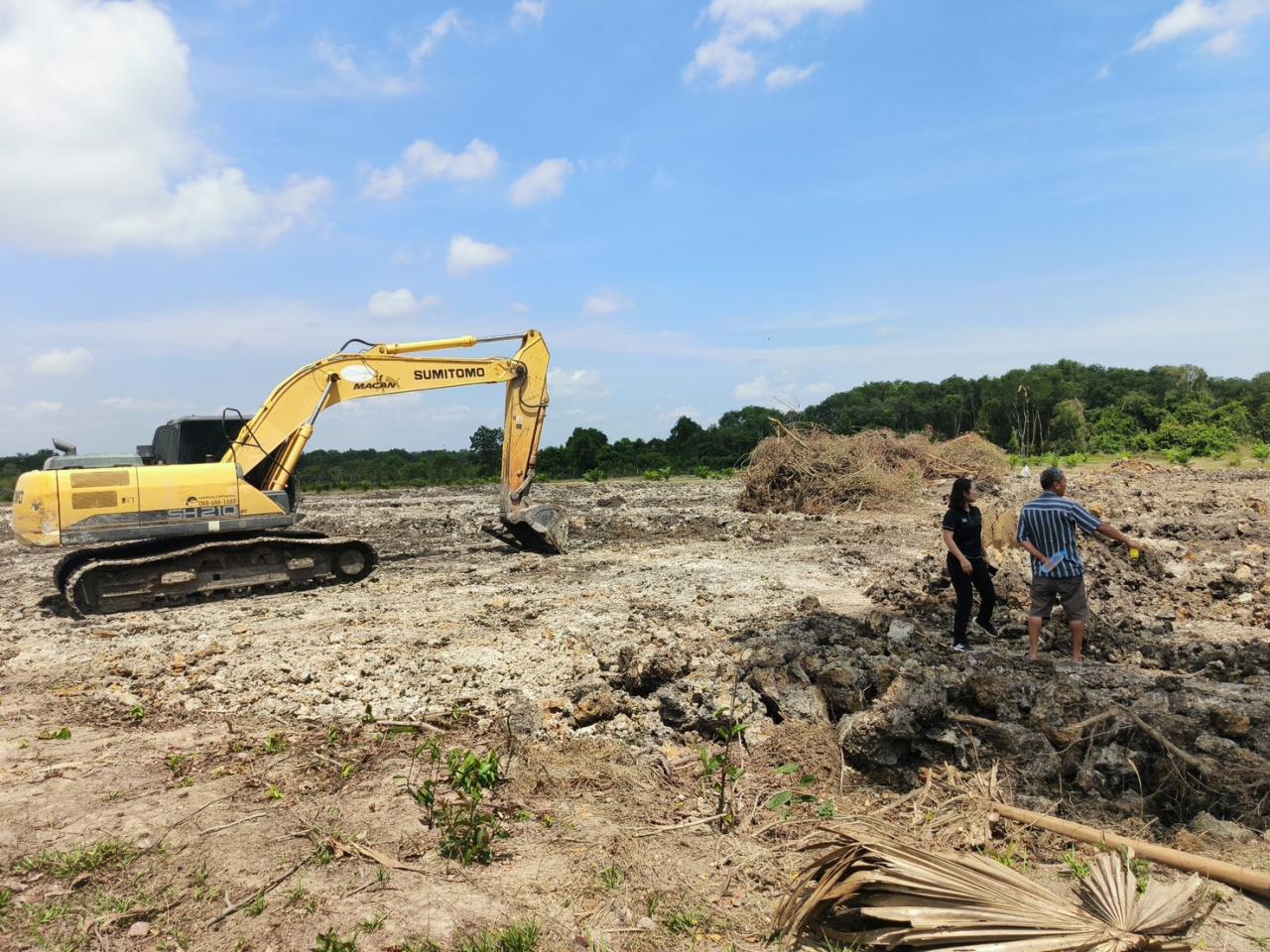 ภาพประกอบที่ 1