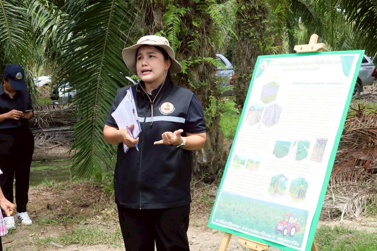 ภาพประกอบที่ 15