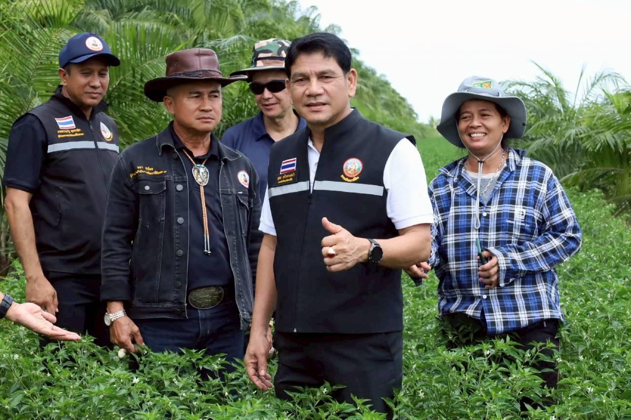 ภาพประกอบที่ 16