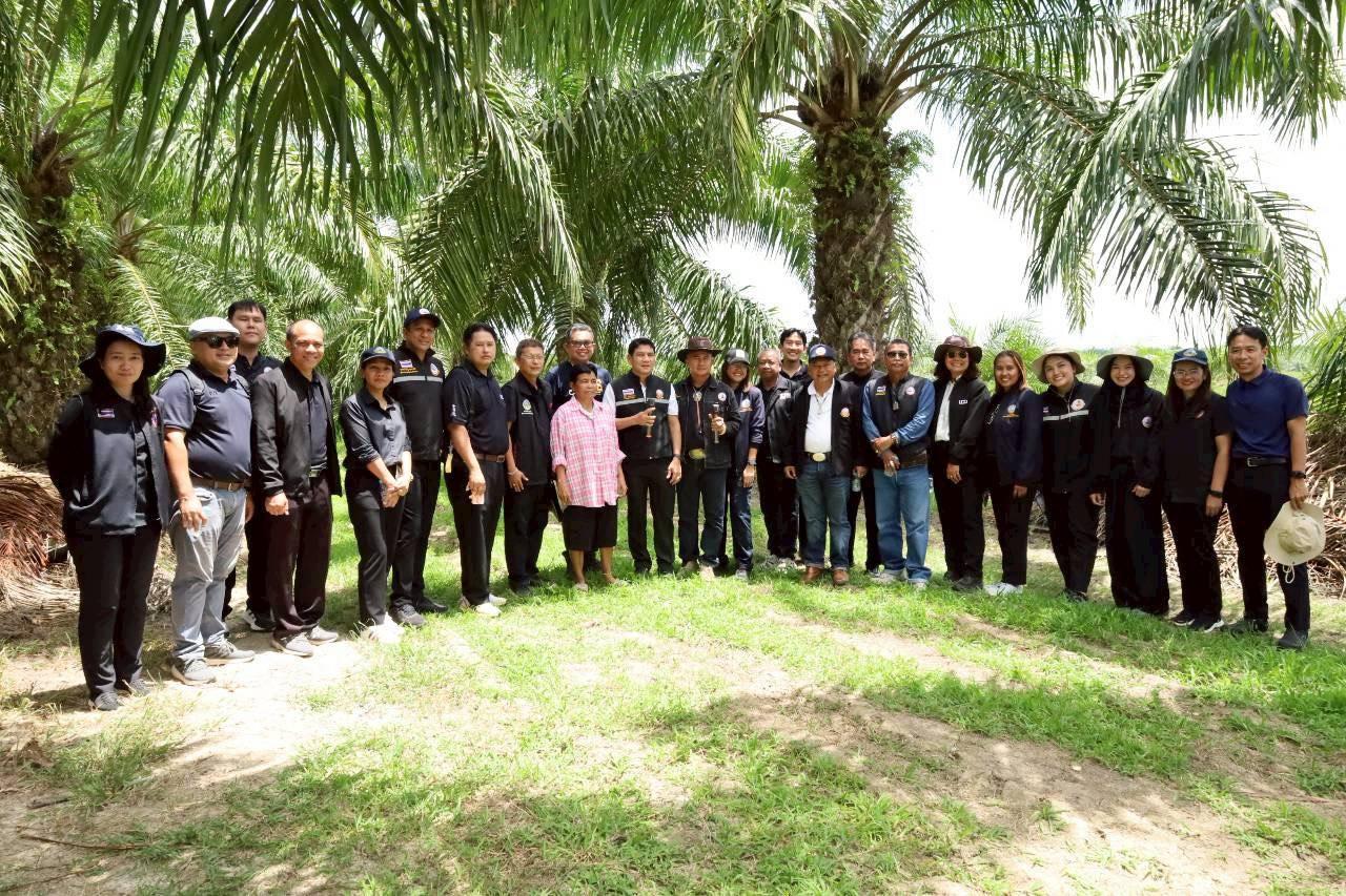 ภาพประกอบที่ 19