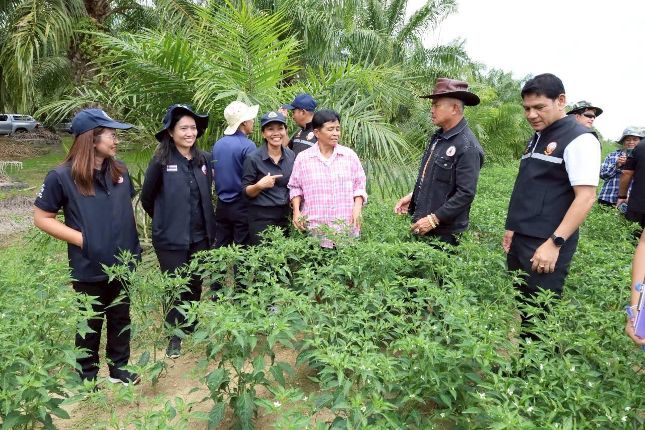 ภาพประกอบที่ 21