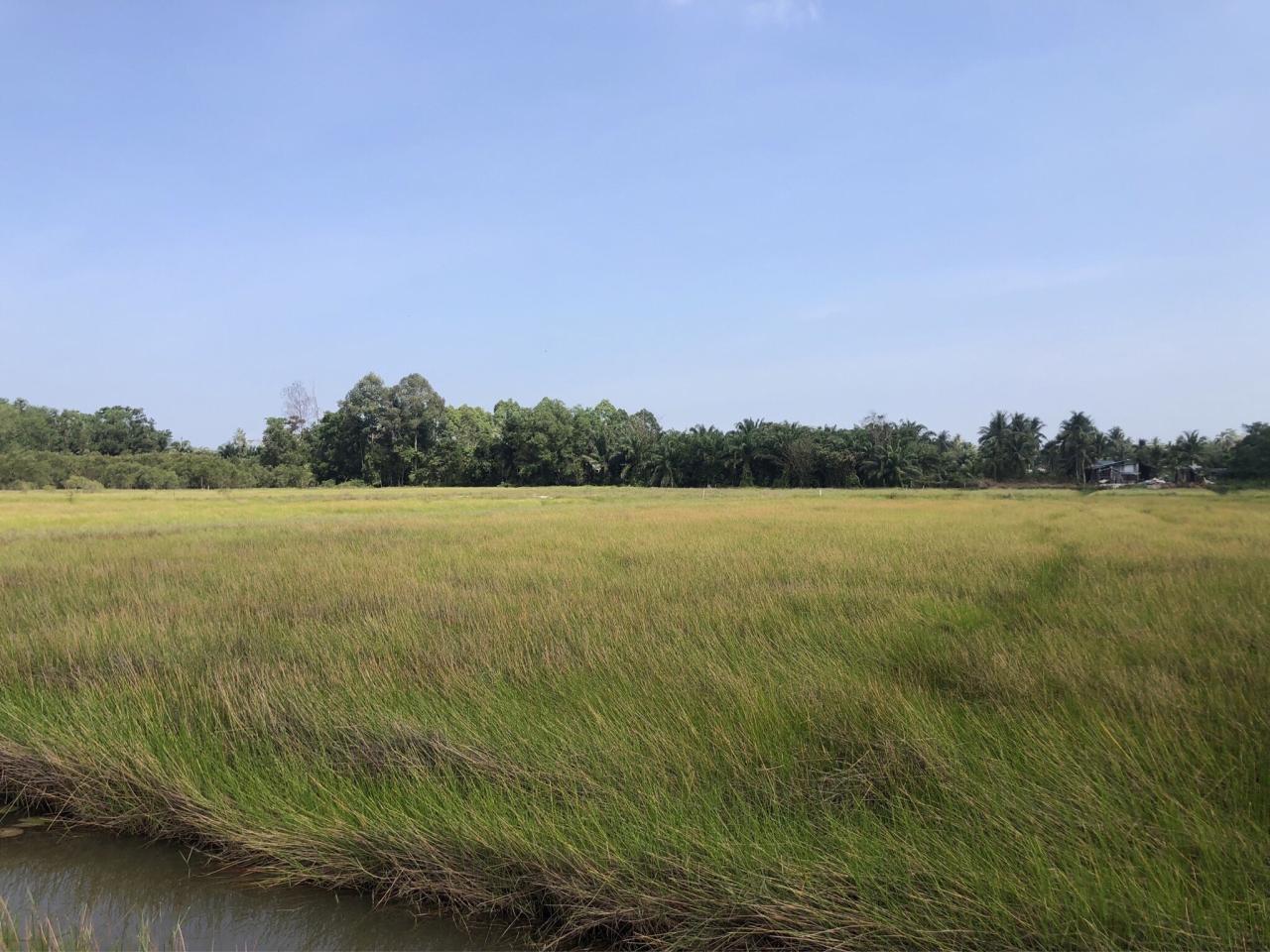 ภาพประกอบที่ 7