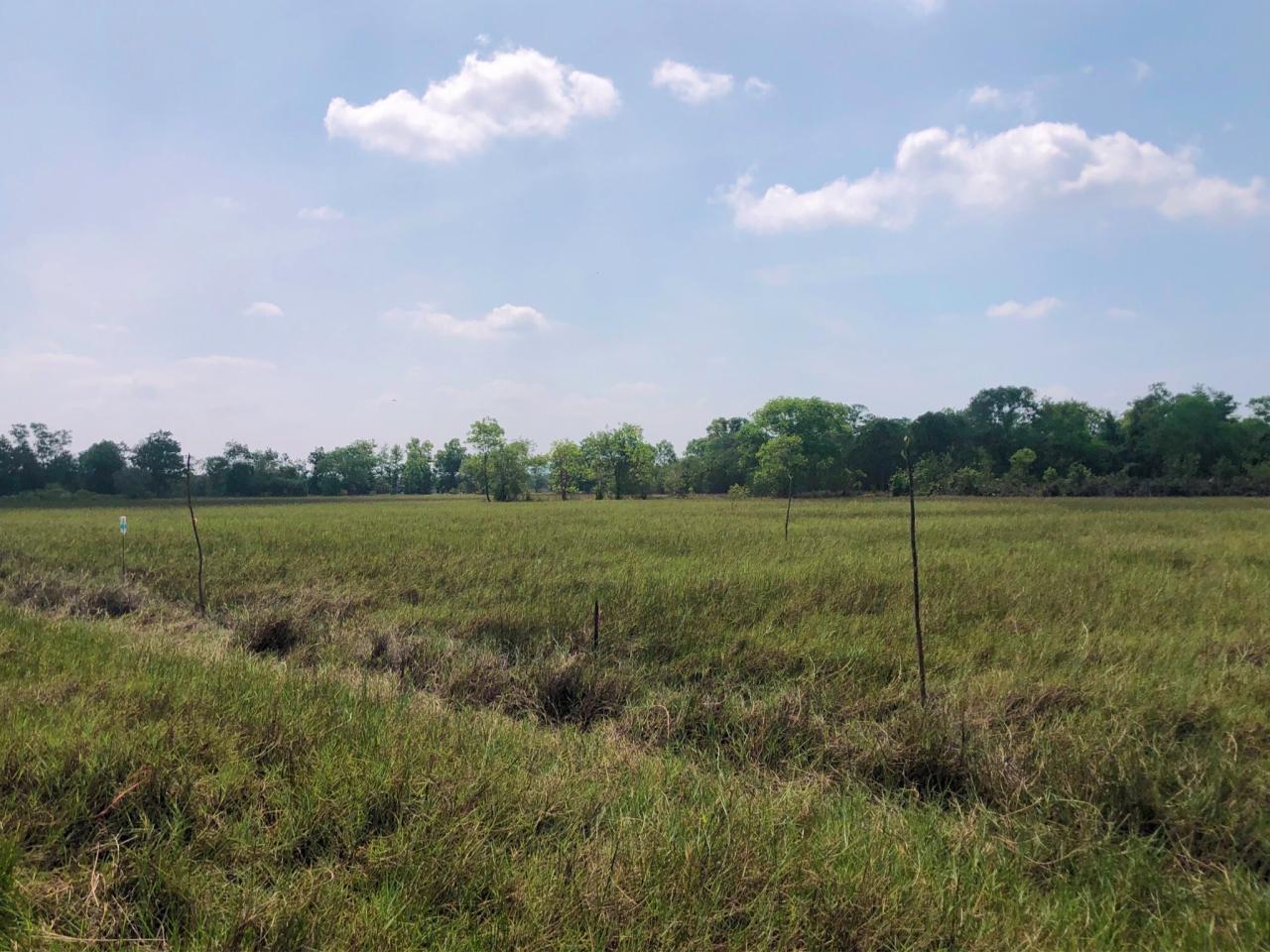 ภาพประกอบที่ 8