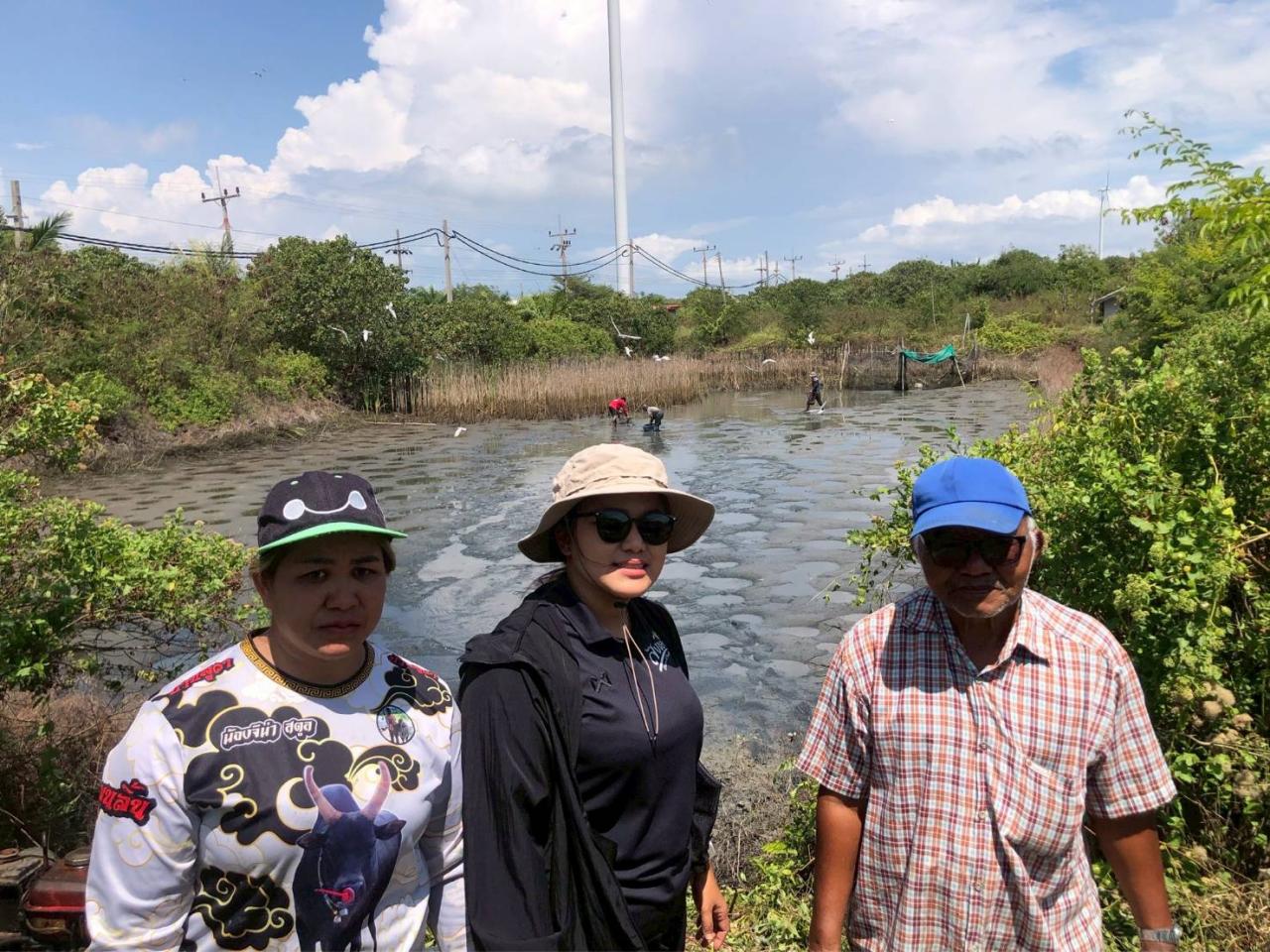 ภาพประกอบที่ 0