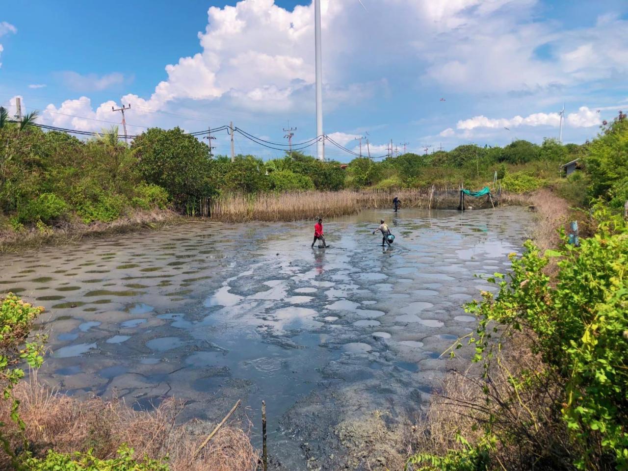 ภาพประกอบที่ 1