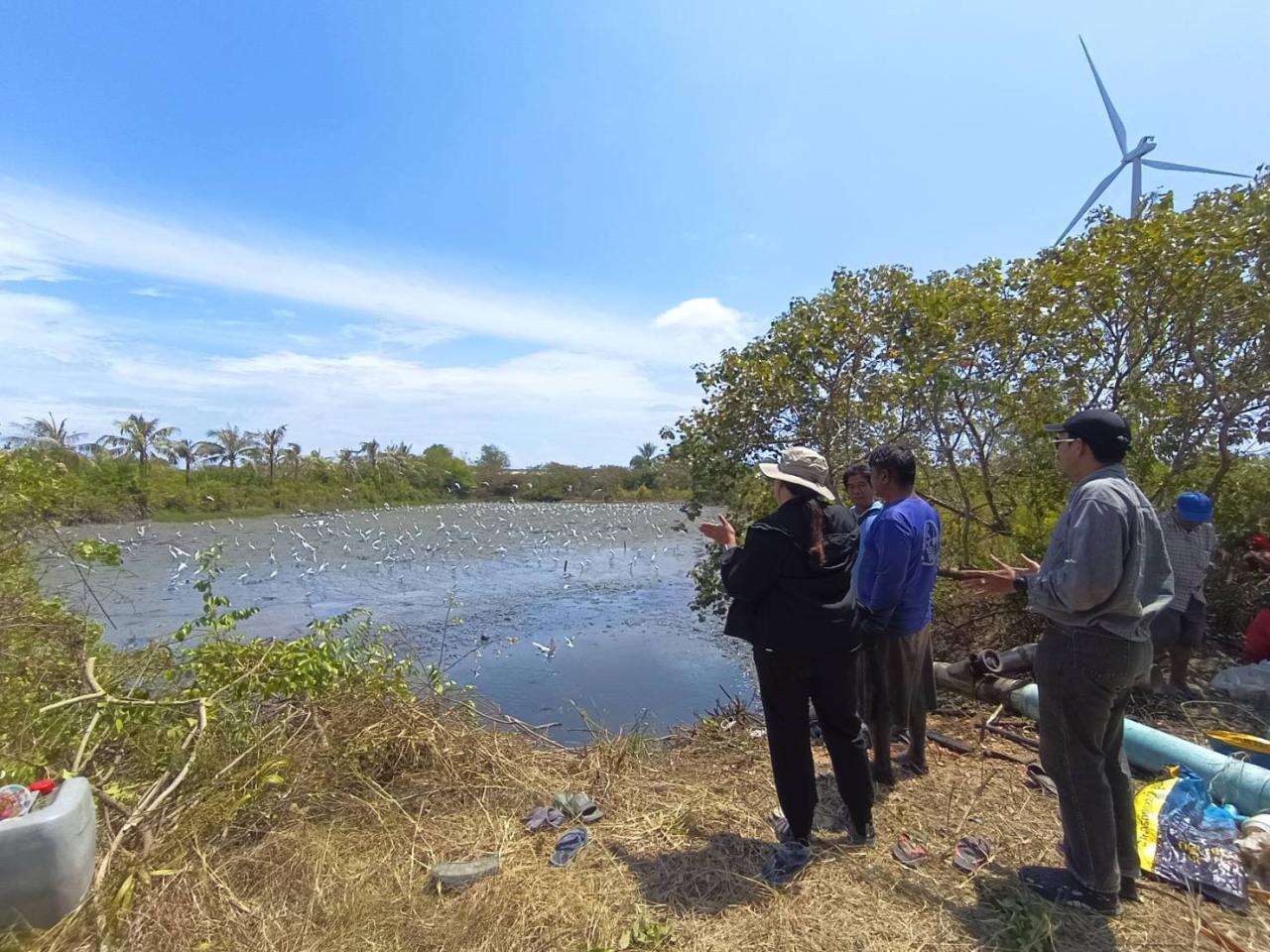 ภาพประกอบที่ 6