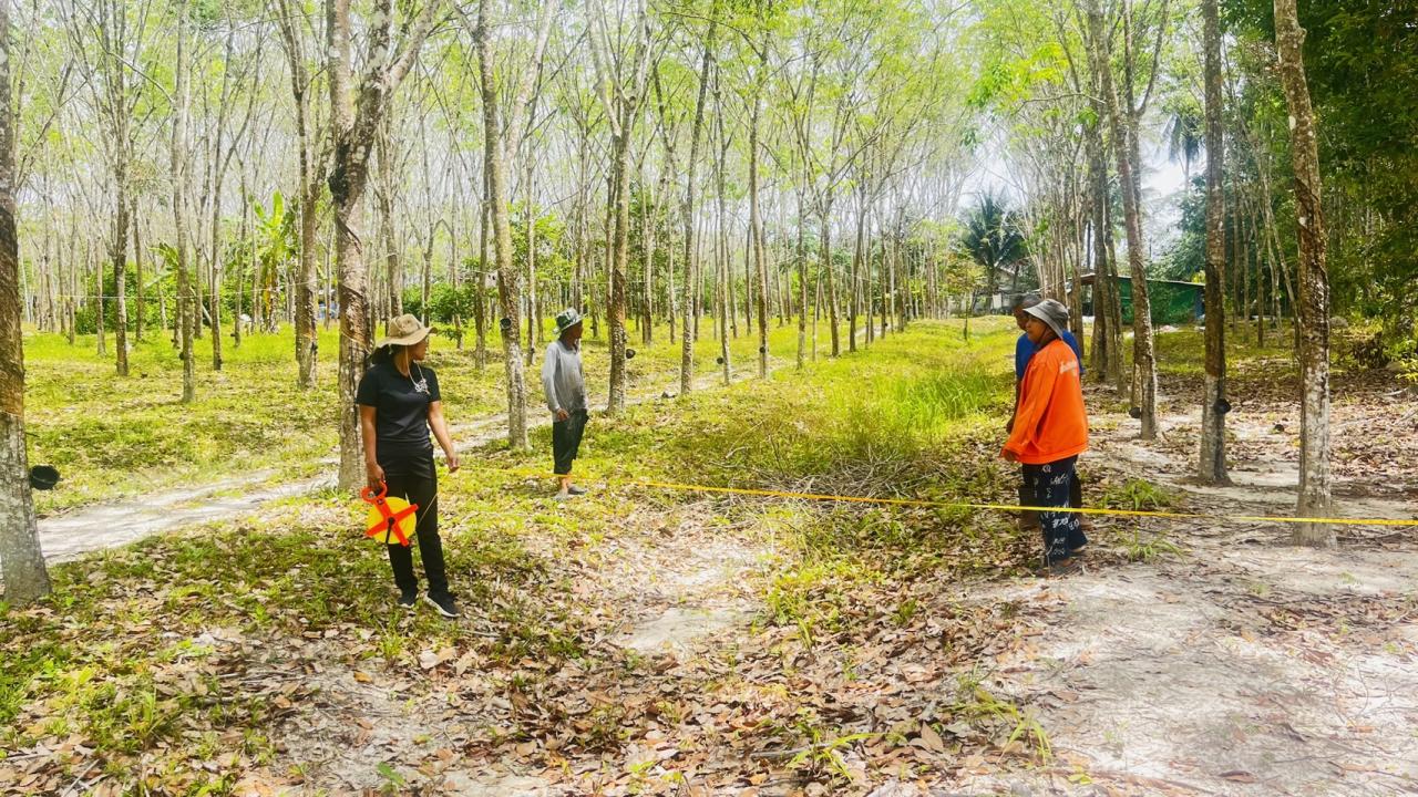 ภาพประกอบที่ 1