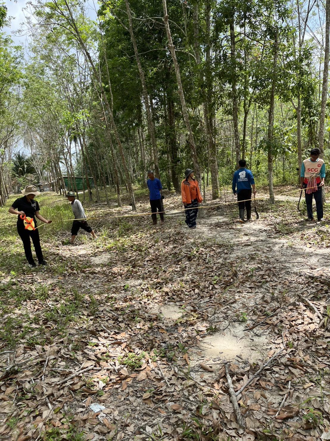 ภาพประกอบที่ 2