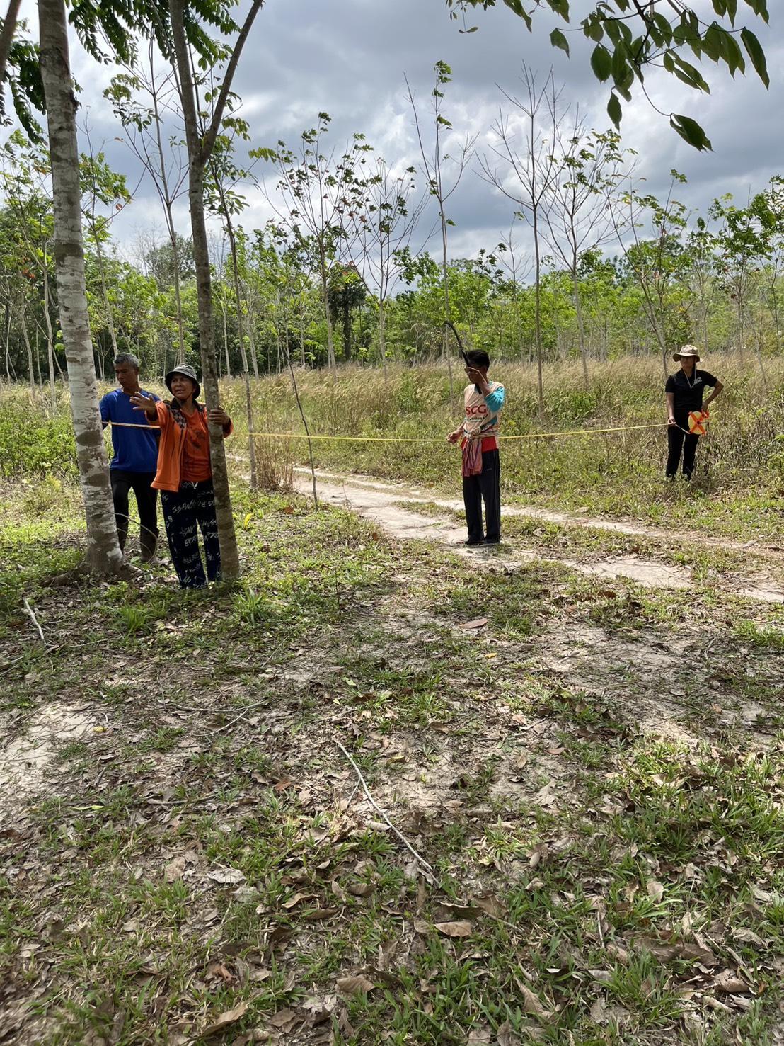 ภาพประกอบที่ 3