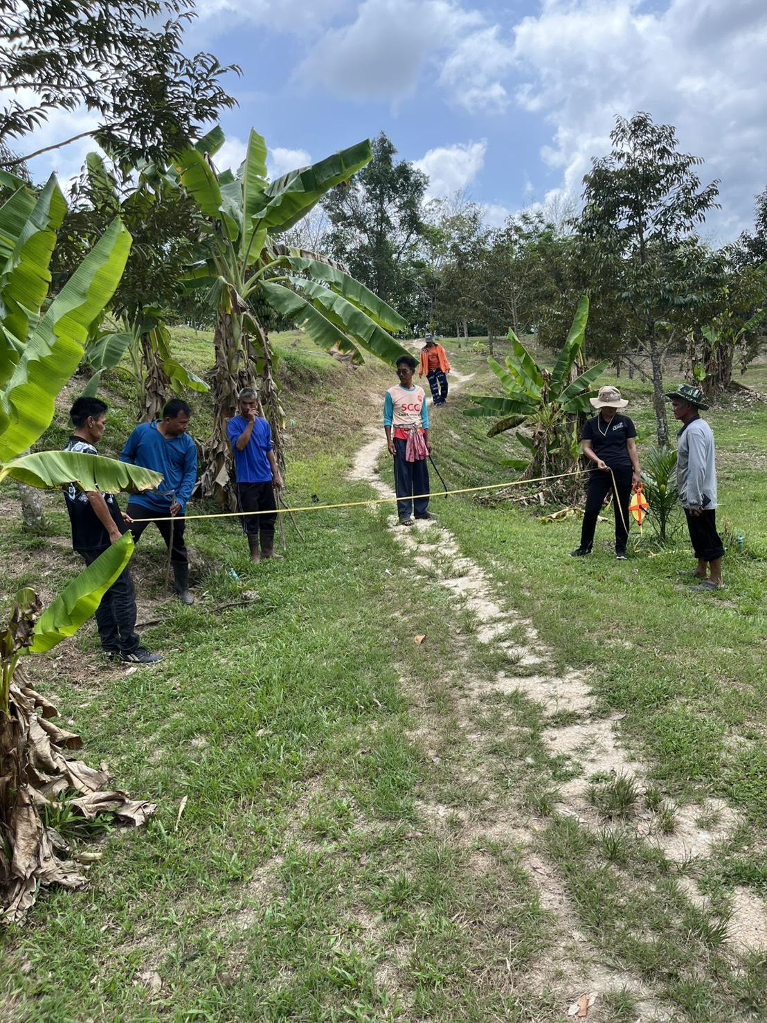 ภาพประกอบที่ 4