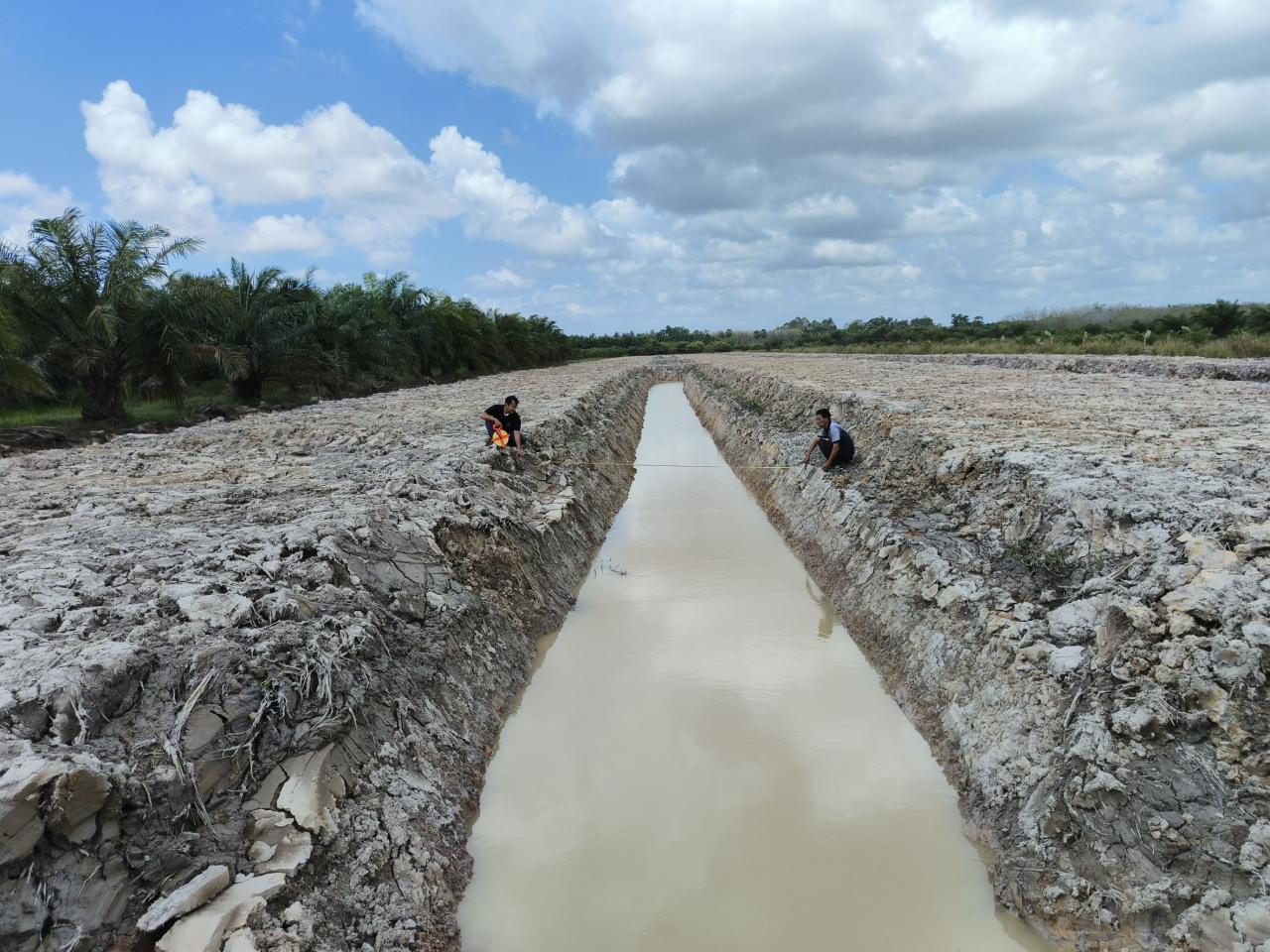 ภาพประกอบที่ 5