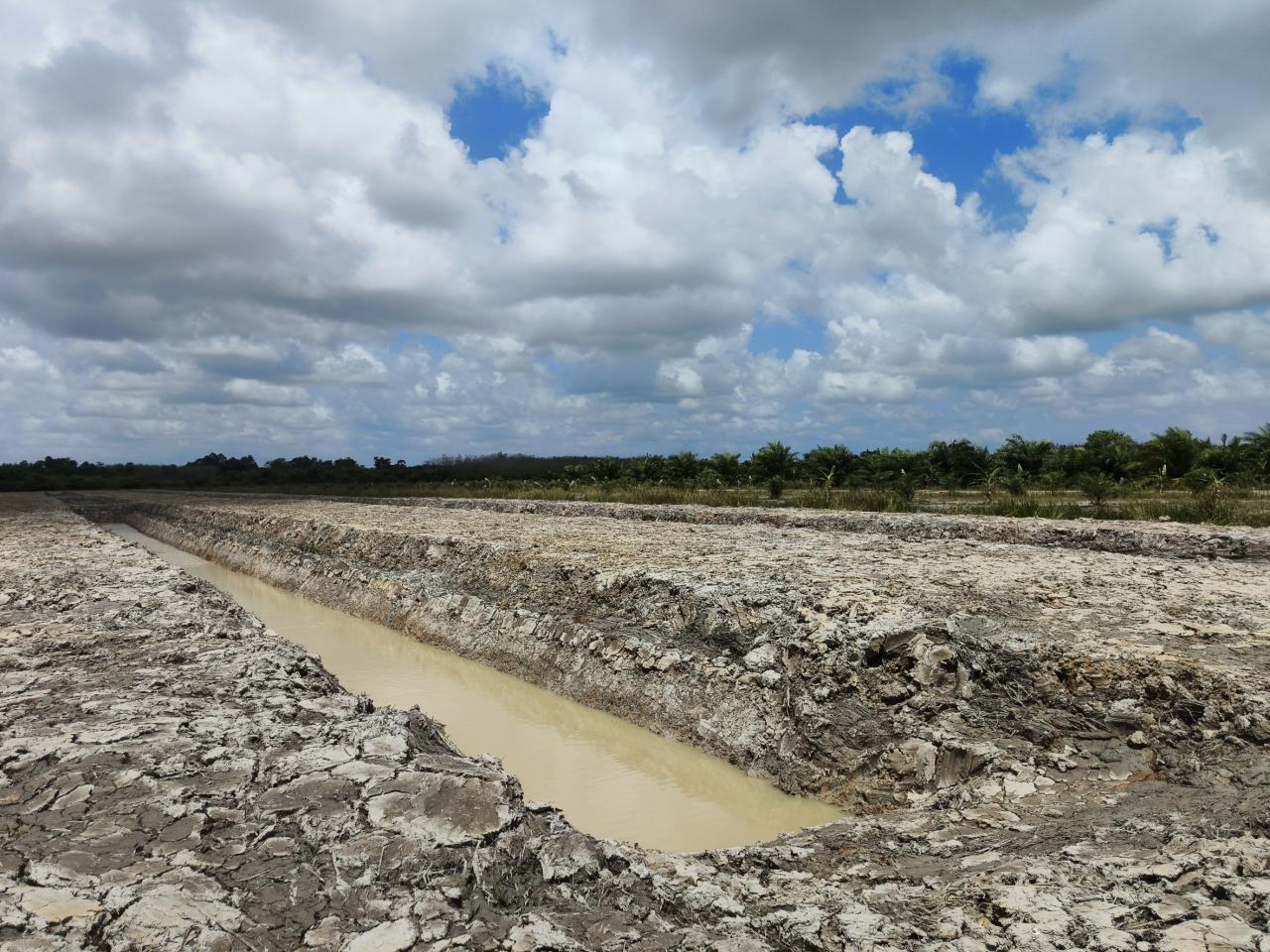 ภาพประกอบที่ 6