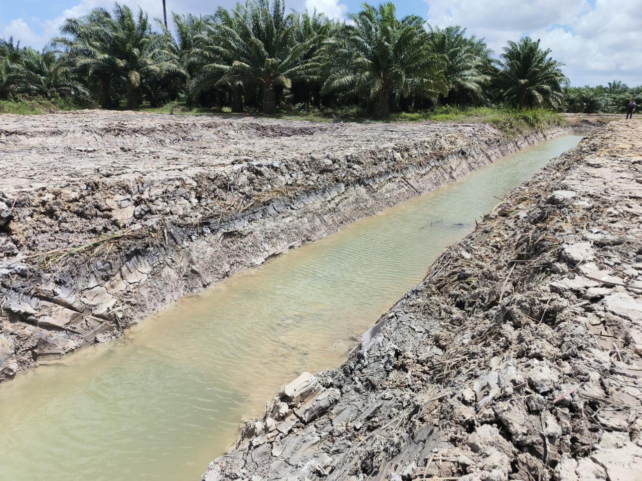 ภาพประกอบที่ 7