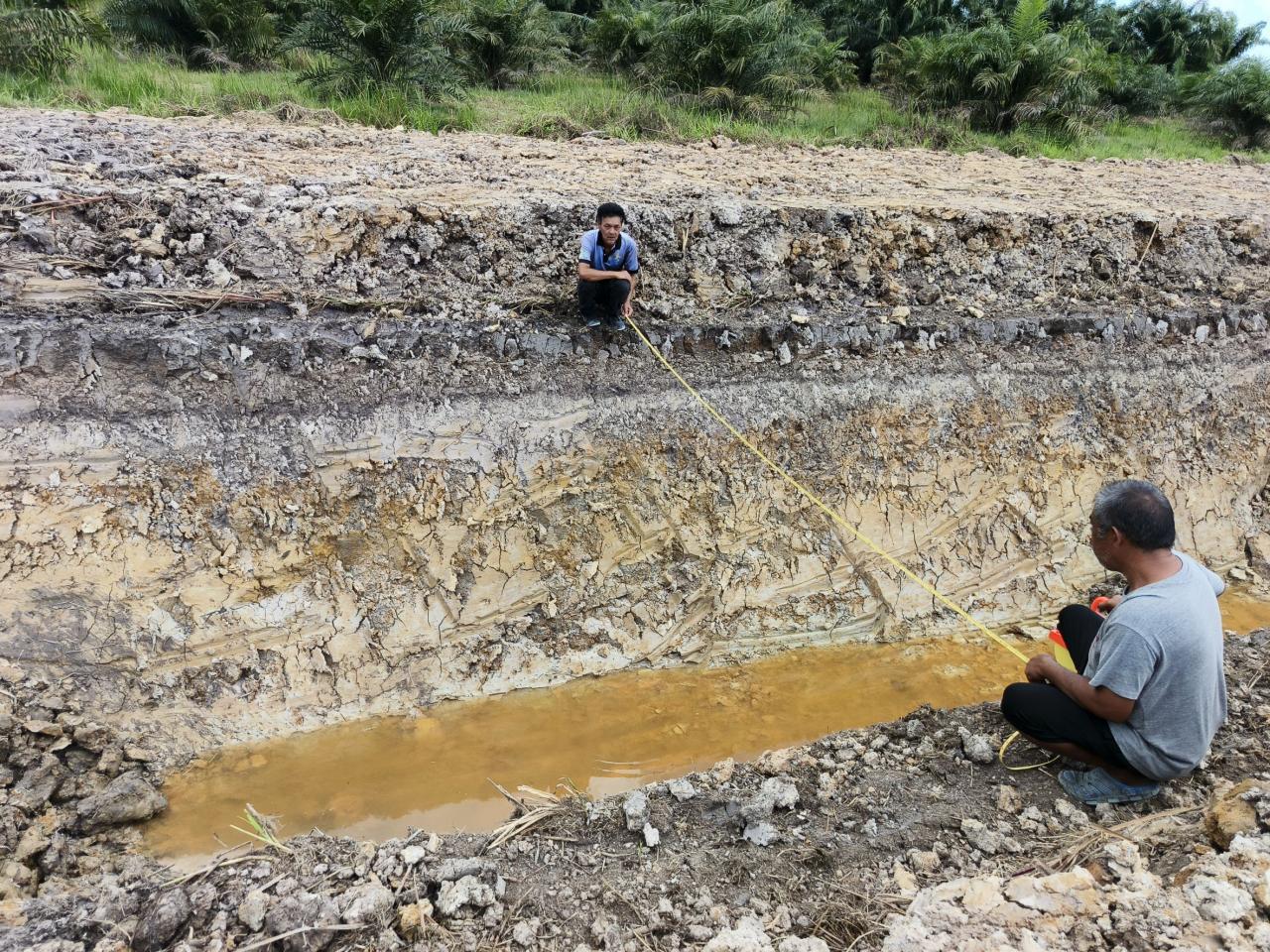 ภาพประกอบที่ 11