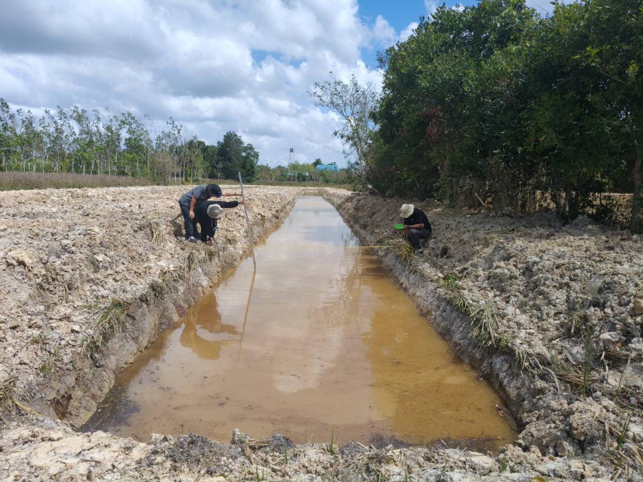 ภาพประกอบที่ 5